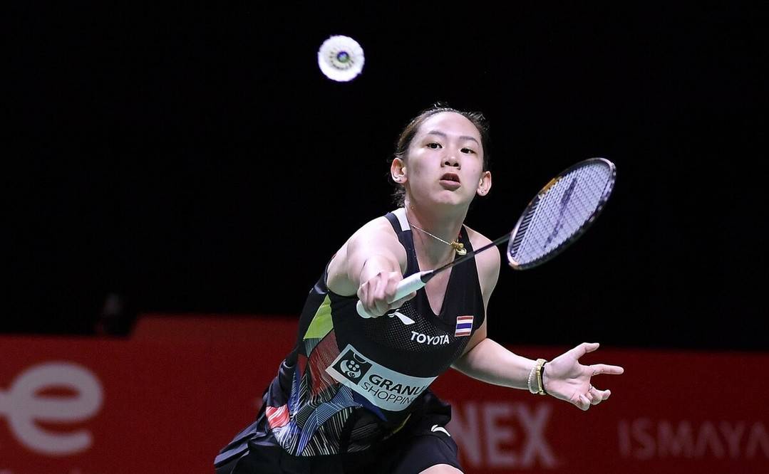 辛纳穆塞蒂 辛纳穆塞蒂