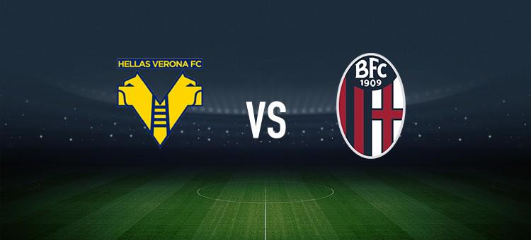 甲联盟中的 甲联盟中的