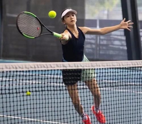 本赛季球队 本赛季球队