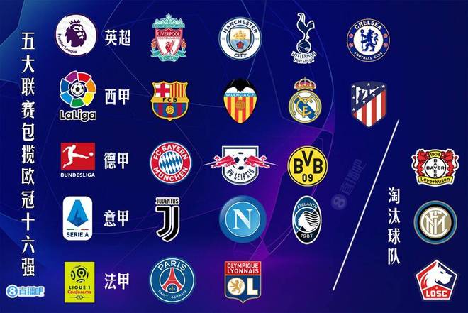 这也解释了 这也解释了