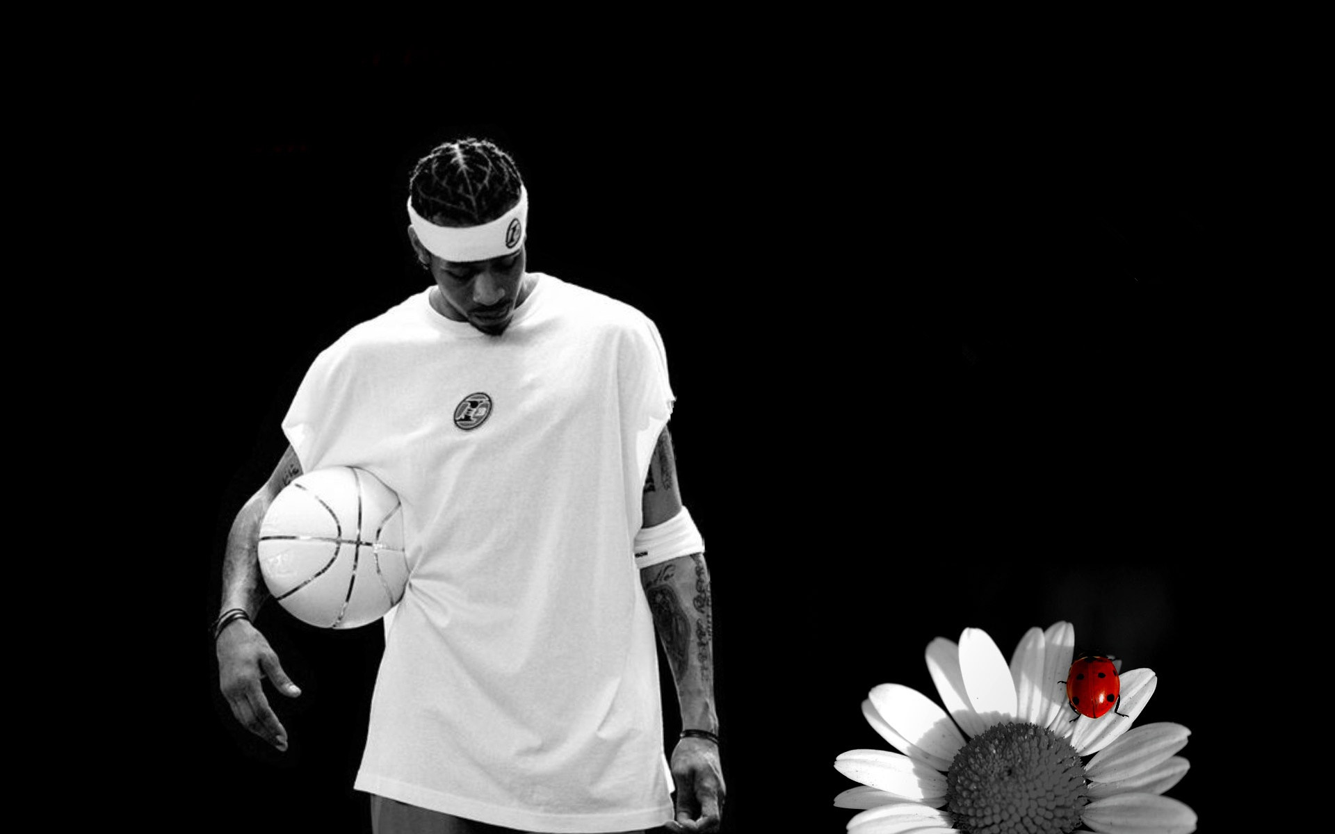 篮板保护也 篮板保护也